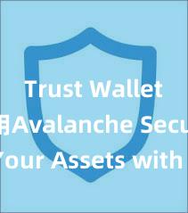 Trust Wallet如何使用Avalanche Secure Your Assets with Trust Wallet!